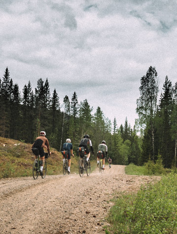 Five cyclists gravel riding away from camera in dense forest